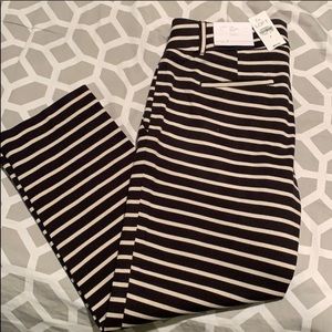 BWNT LOFT Pants